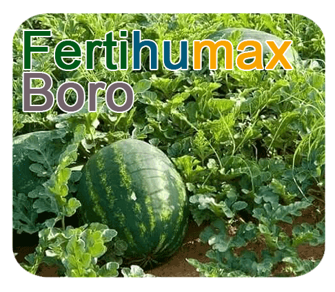 Fertihumax : Fertilizantes quelatados líquidos de alto rendimiento Boro