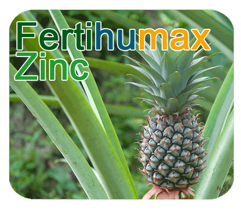 Fertihumax : Fertilizantes quelatados líquidos de alto rendimiento