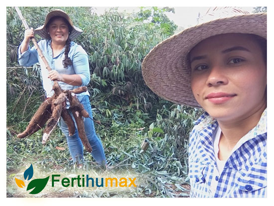 Fertihumax Colombia Fertilizantes Quelatados | Daniela palacio emprendedora de Yuca en La Pintada, Antioquia