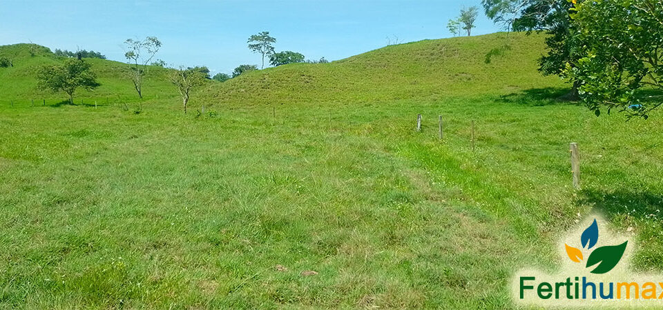 Fertihumax Fertilizantes quelatados líquidos en Colombia | El hierro y el cobre en la producción de materia seca en pastos